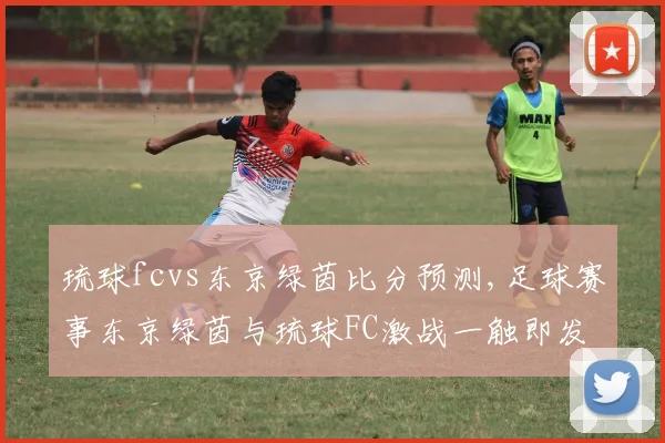 琉球fcvs东京绿茵比分预测,足球赛事东京绿茵与琉球FC激战一触即发,悬念重重