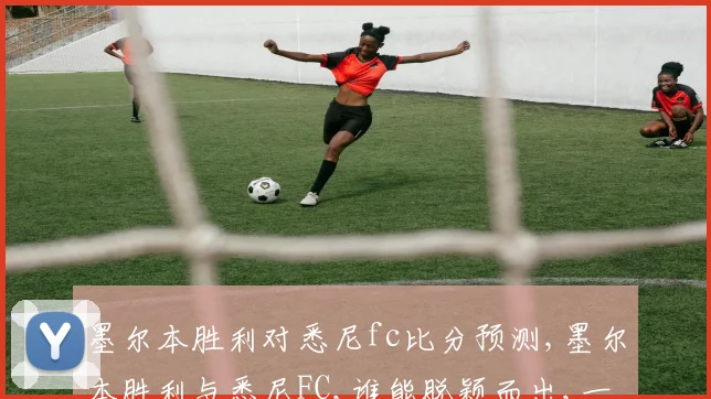 墨尔本胜利对悉尼fc比分预测,墨尔本胜利与悉尼FC,谁能脱颖而出,一球之差